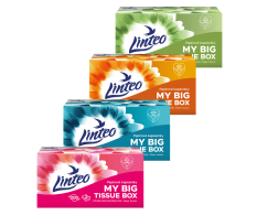 Linteo papírzsebkendő 200db